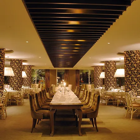 Otel Elegance International