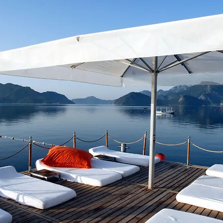 酒店 马尔马里斯优雅国际酒店 5*