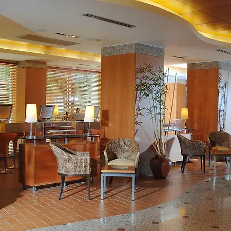 Elegance International