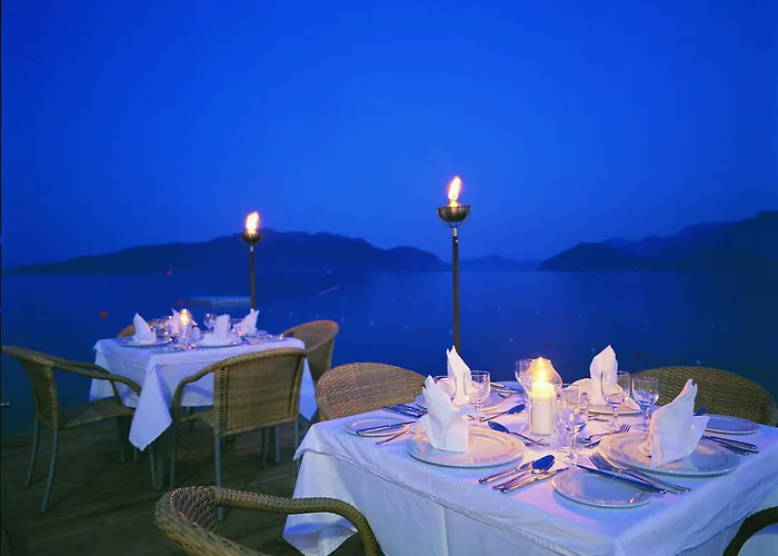 Elegance International