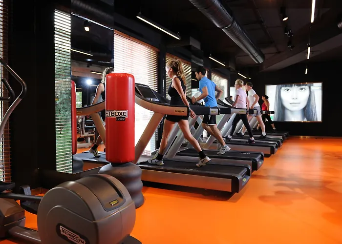 Elegance International