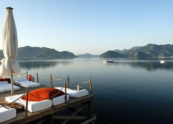 Elegance International Hotell 5*
